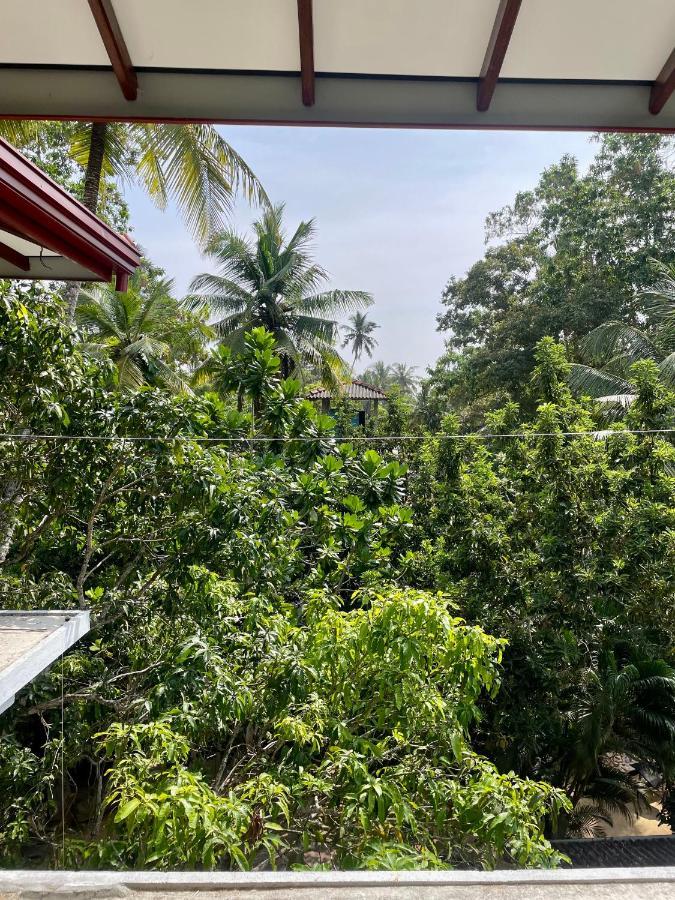 Jungle Escape Hiriketiya Hotel Dikwella Eksteriør billede