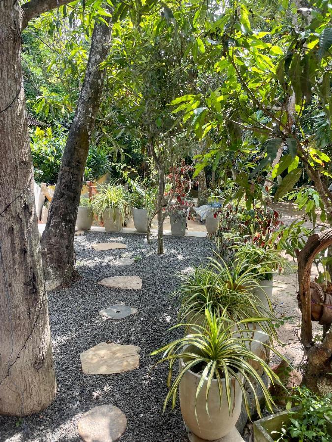 Jungle Escape Hiriketiya Hotel Dikwella Eksteriør billede