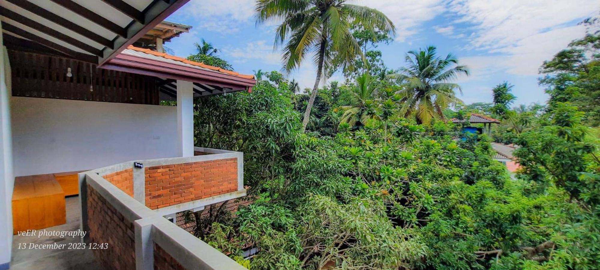 Jungle Escape Hiriketiya Hotel Dikwella Eksteriør billede